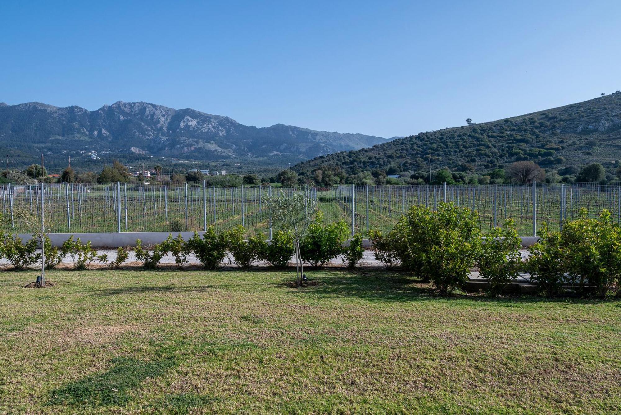 Olive Tree Garden Vila Linopotis Exterior foto